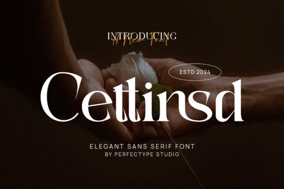 Cettinsd: A Serif Typeface That Brings Class and Modern Editorial Appeal