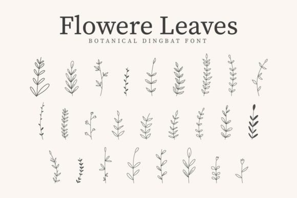 Flowere Leaves: A Botanical Dingbat Font with Quiet Charm