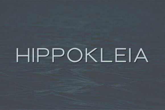 Hippokleia: The Sans Serif Font That Elevates Small Business Branding