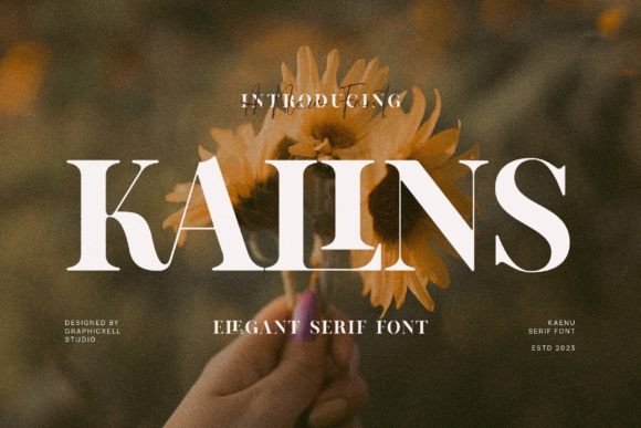 Kalins Serif Typeface: A Marketing Font Built for Digital Visibility