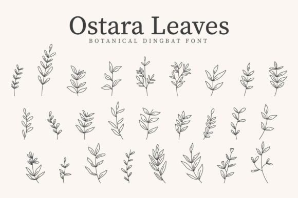 Ostara Leaves: A Web Designer’s Look at This Botanical Dingbat Font