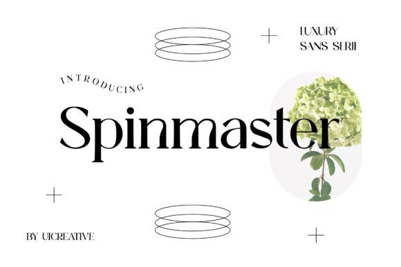 Spinmaster: The Bold Sans Serif Font Crafters Love